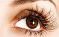 How long do eyelashes grow, and what factors affect it?