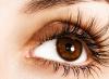 How long do eyelashes grow, and what factors affect it?