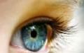 눈의 성격 : 다양한 징후의 영향